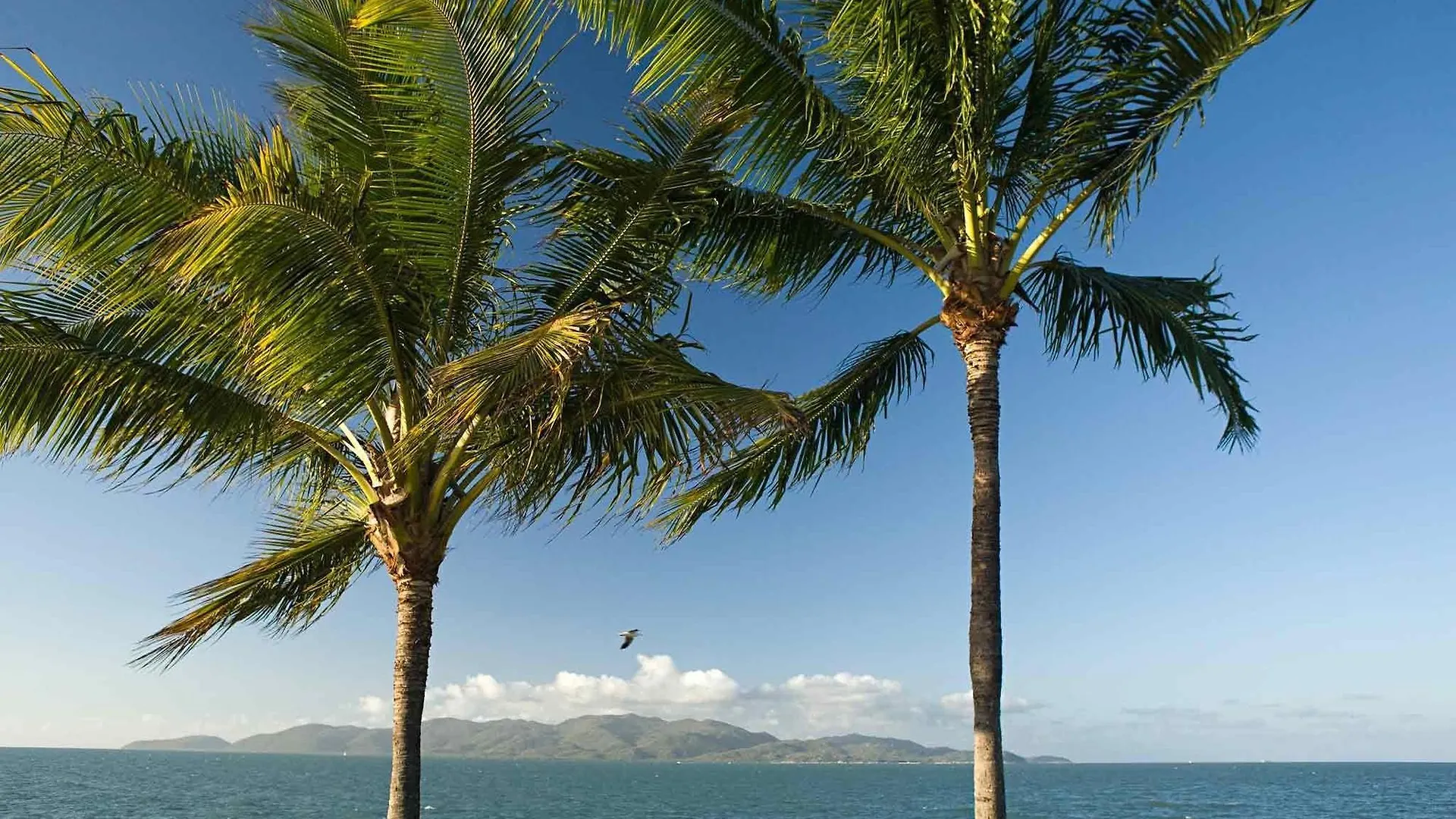 Mercure Townsville Szálloda